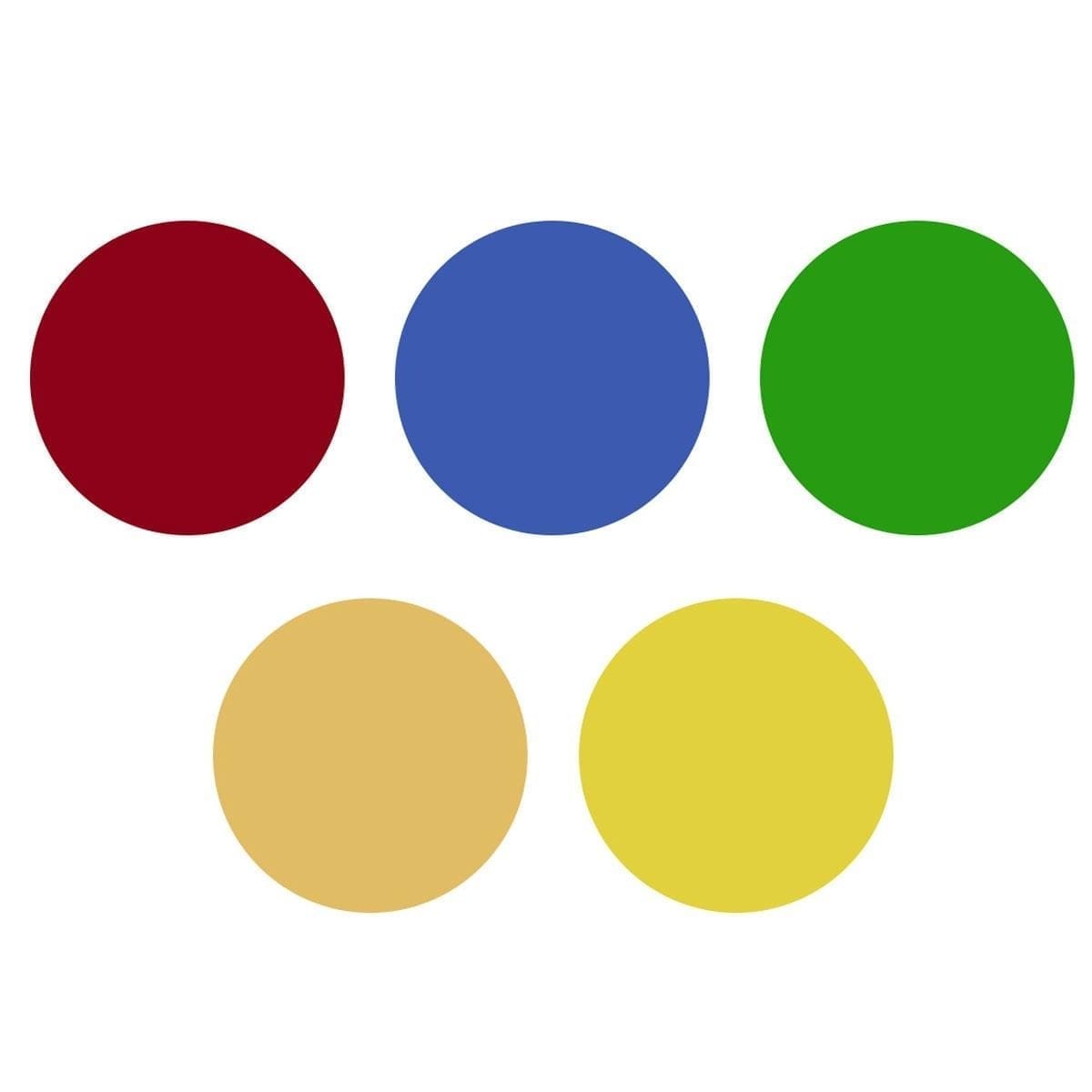 Westcott Optical Spot by Lindsay Adler - Image 14