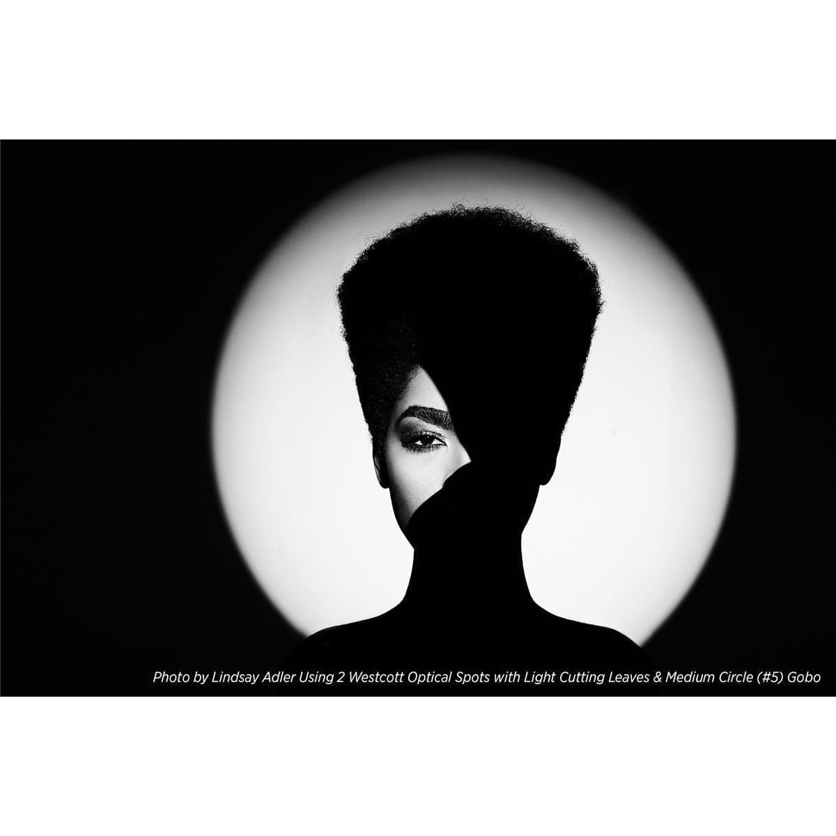 Westcott Optical Spot by Lindsay Adler - Image 9