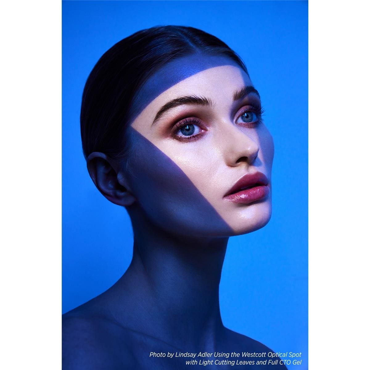 Westcott Optical Spot by Lindsay Adler - Image 8