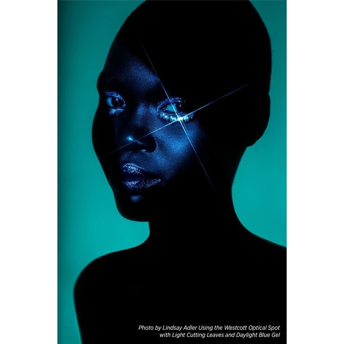 Westcott Optical Spot by Lindsay Adler - Image 7