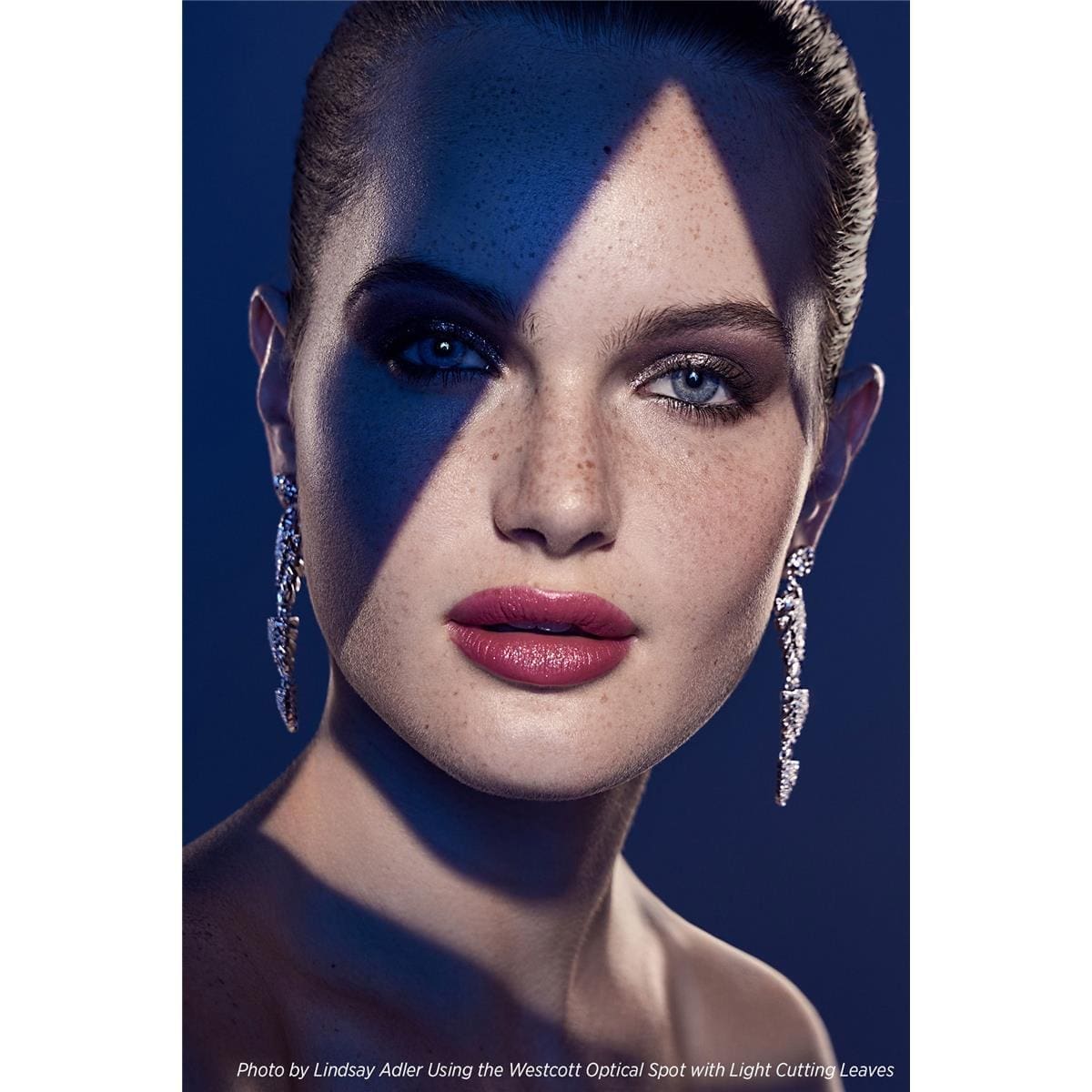 Westcott Optical Spot by Lindsay Adler - Image 5