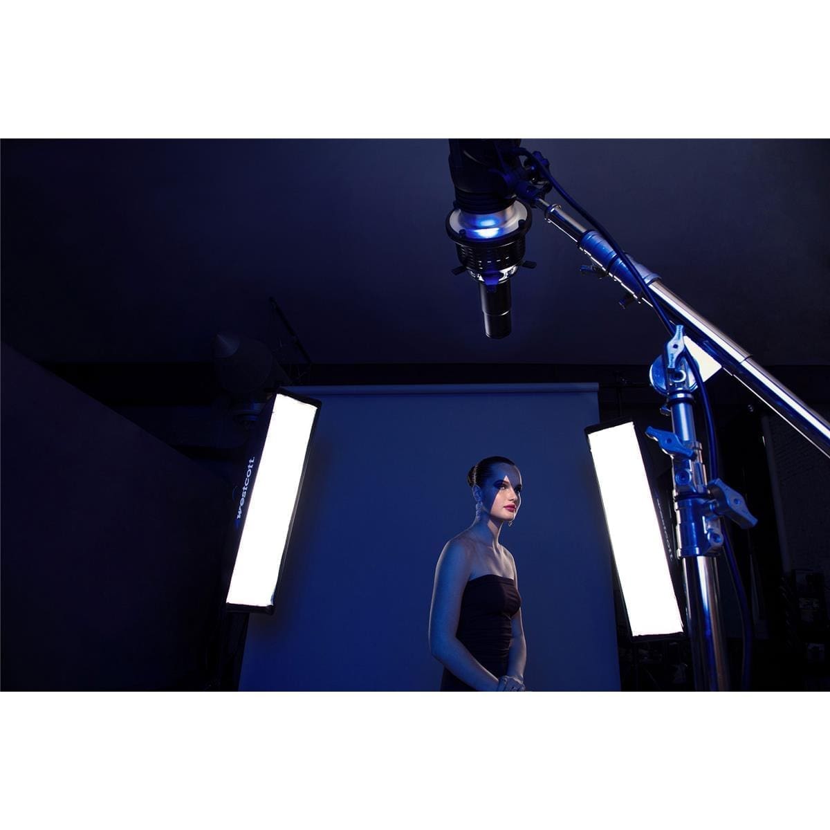 Westcott Optical Spot by Lindsay Adler - Image 4